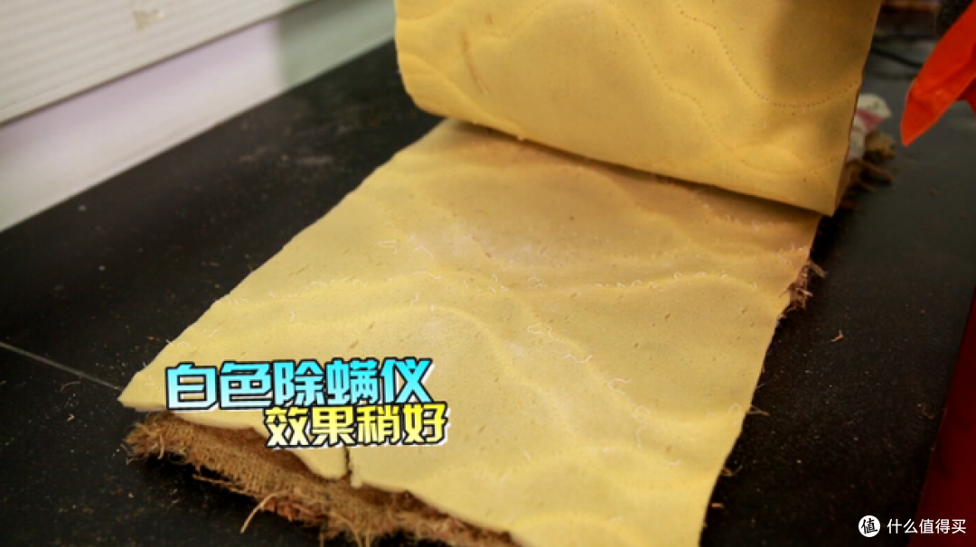 卧室如何除螨？揭秘几种常见除螨方式，学会了轻松告别螨虫！