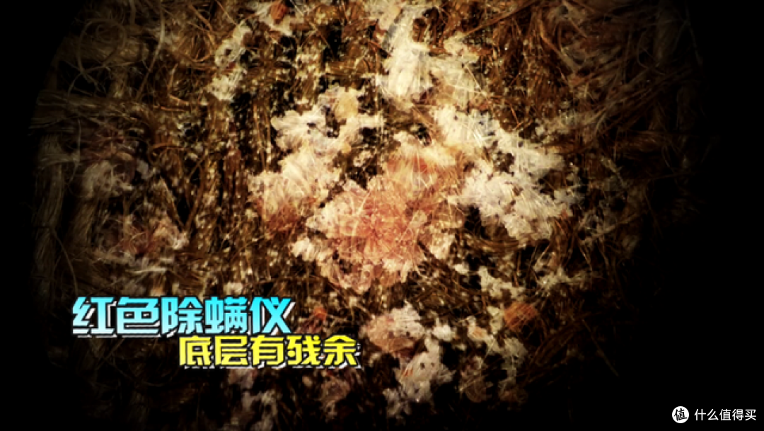 卧室如何除螨？揭秘几种常见除螨方式，学会了轻松告别螨虫！