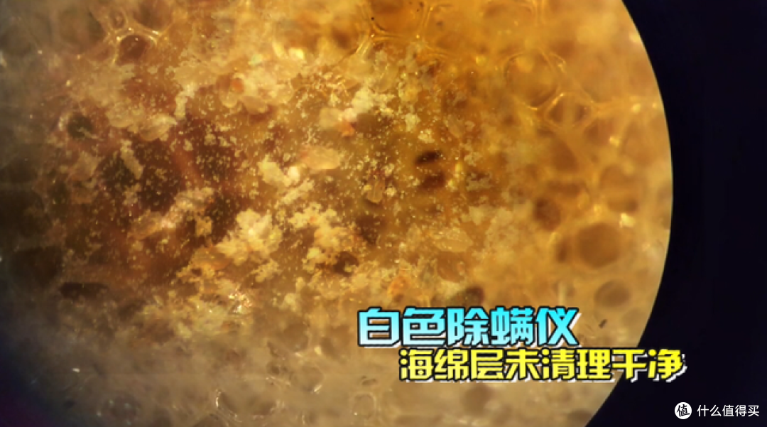 卧室如何除螨？揭秘几种常见除螨方式，学会了轻松告别螨虫！