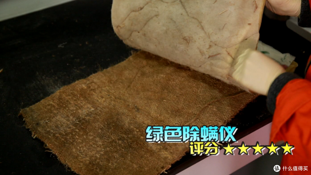 卧室如何除螨？揭秘几种常见除螨方式，学会了轻松告别螨虫！