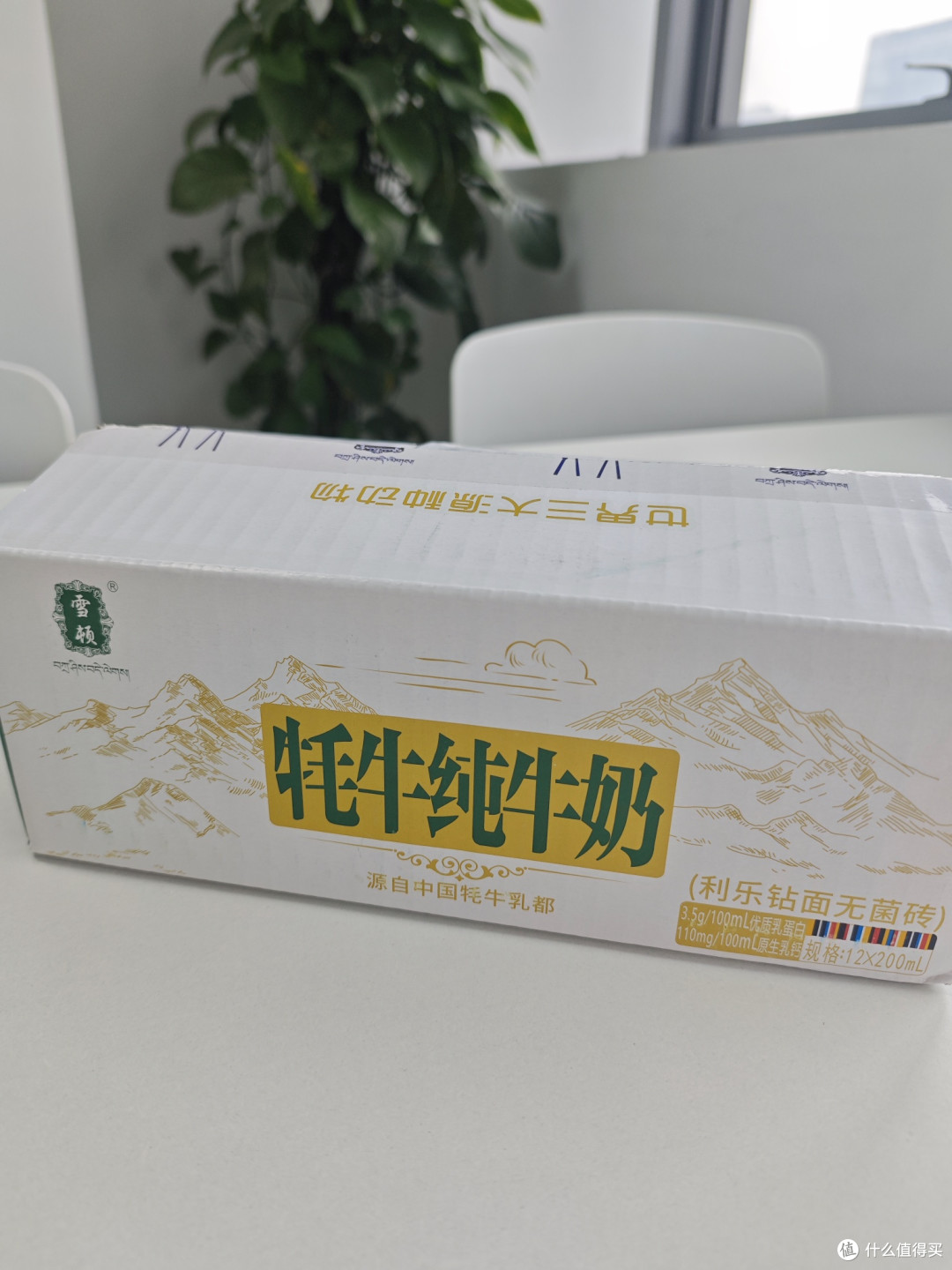 雪顿牦牛奶,高海拔的纯净惊喜!