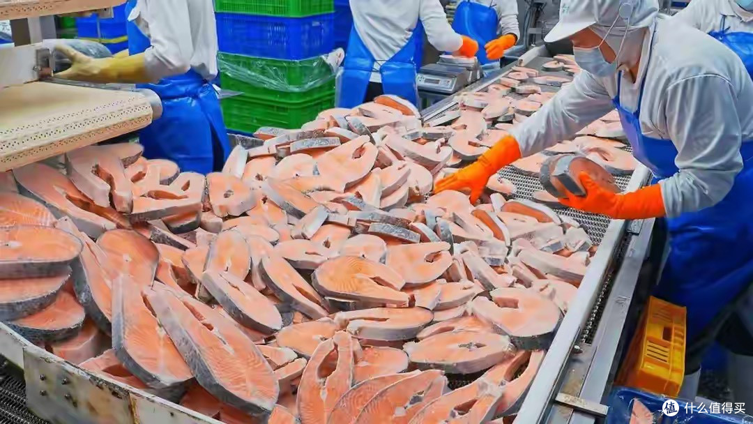 挪威三文鱼泛滥价格腰斩!200跌到70元,供应链革命打破日料暴利