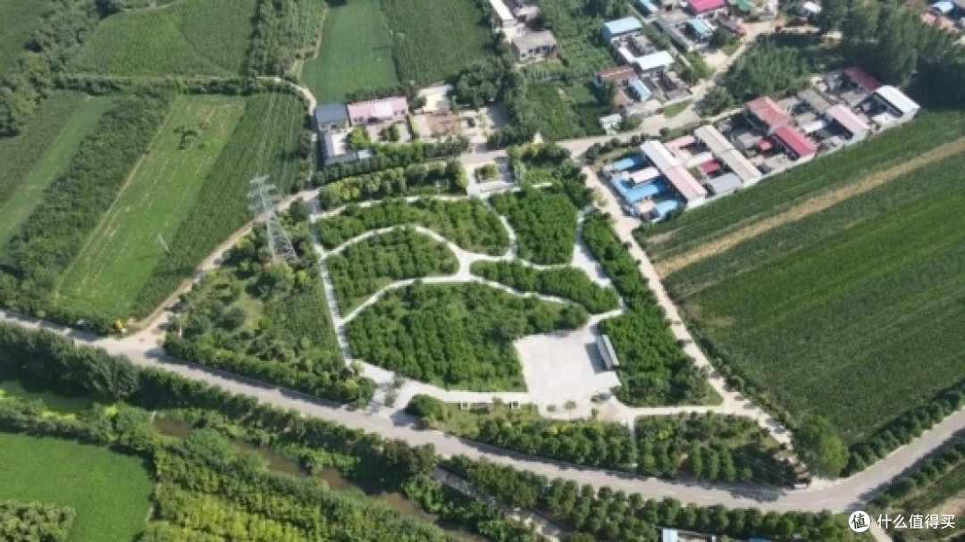 河南尧松食品有限公司:以红薯为笔,绘就乡村振兴新画卷