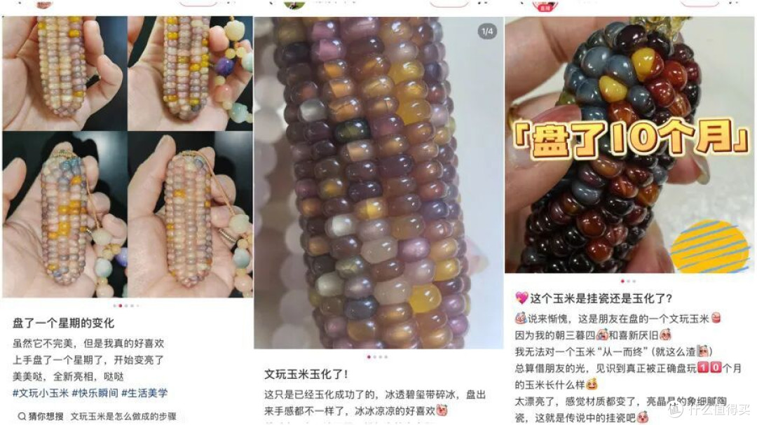 7800元一根的玉米,正成为年轻人的“精神快充”!