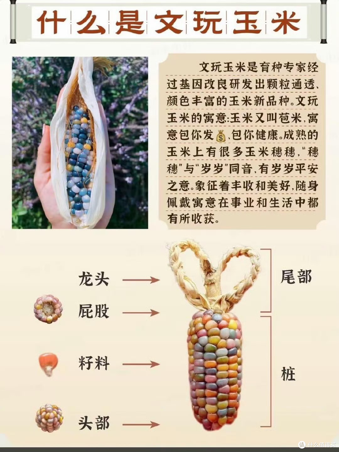 7800元一根的玉米,正成为年轻人的“精神快充”!