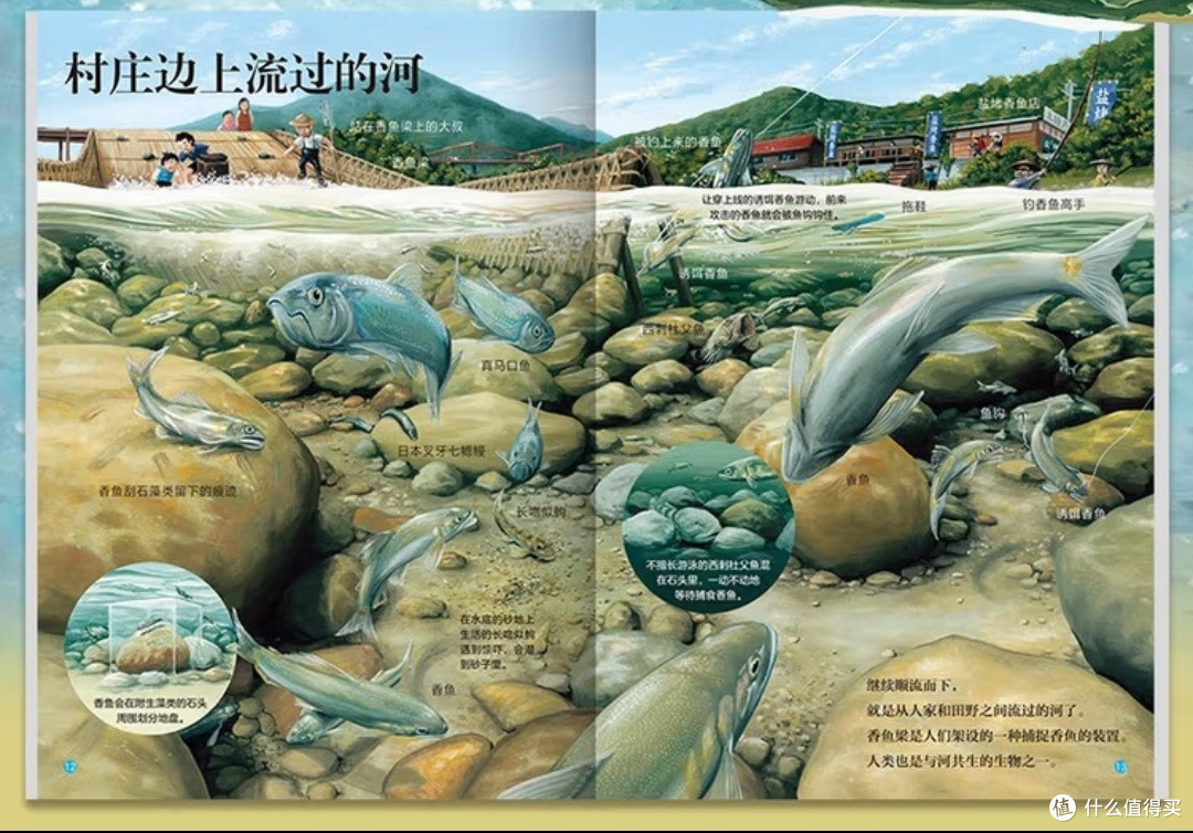 水之诗,生之流:评铃木典丈的河流生态绘本