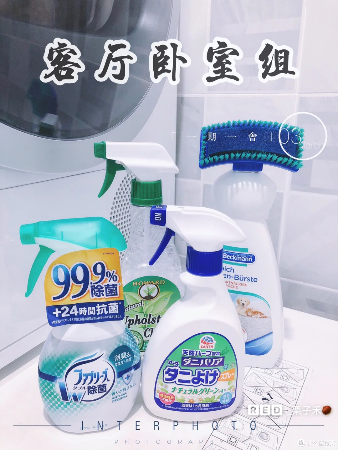 来源于小红书博主-_栗子禾🌰