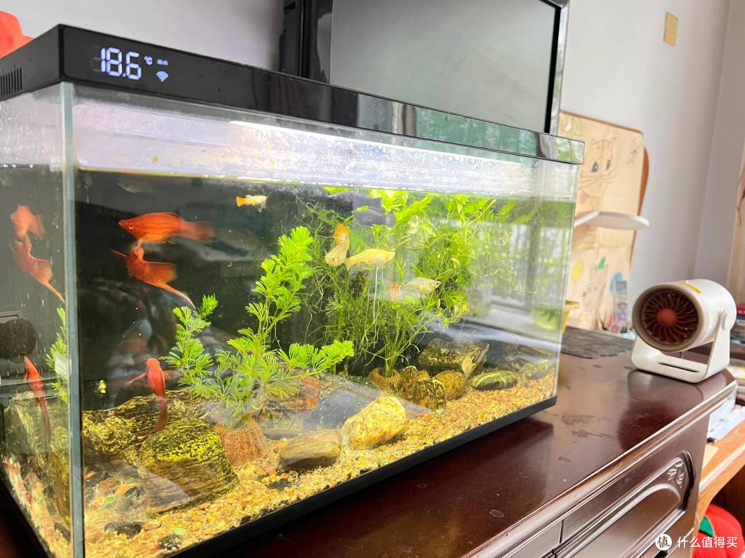 小小身材让温暖触手可及:体验桌面暖风机西圣Warm Mini
