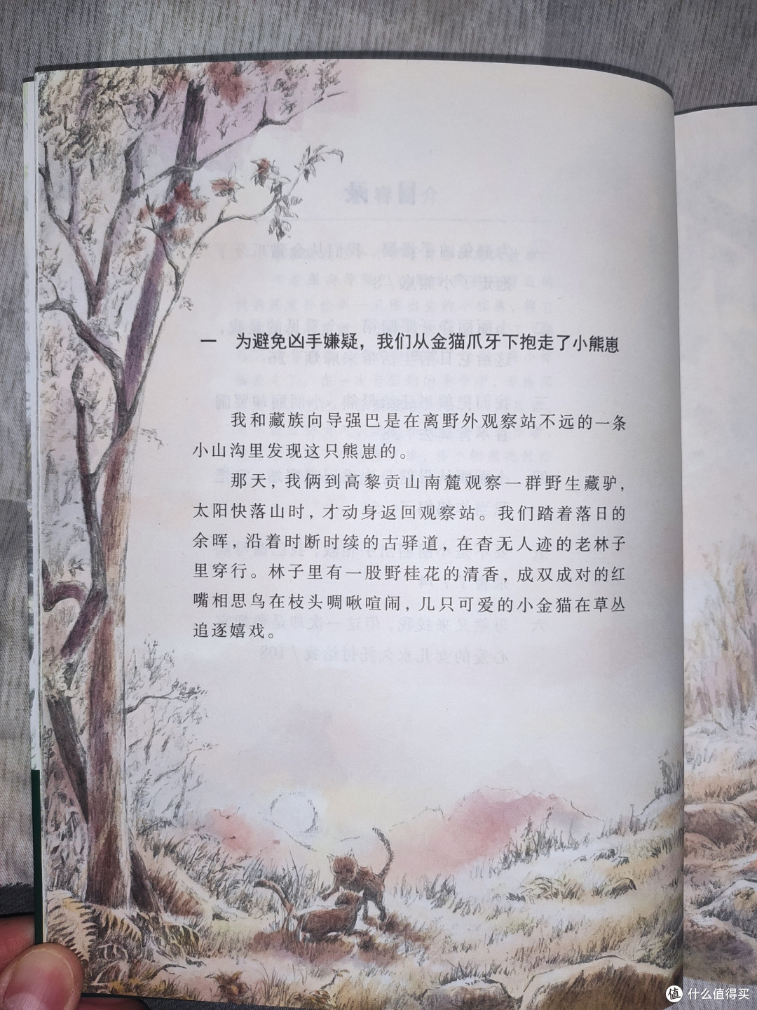 沈石溪《棕熊的故事》