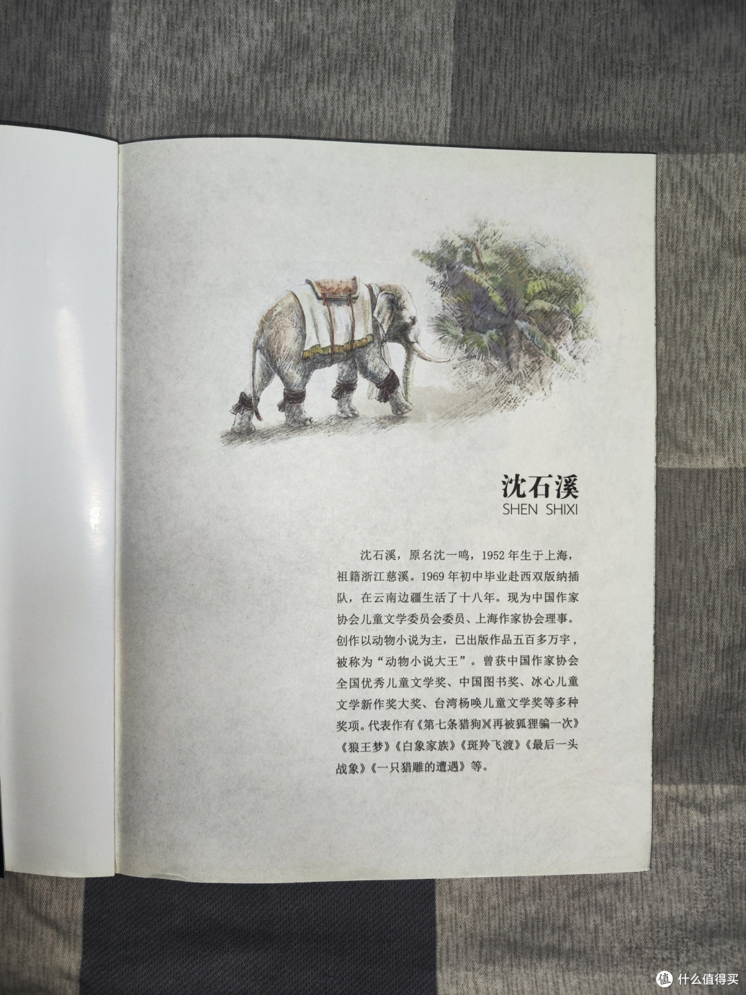 沈石溪《最后一头西战象》