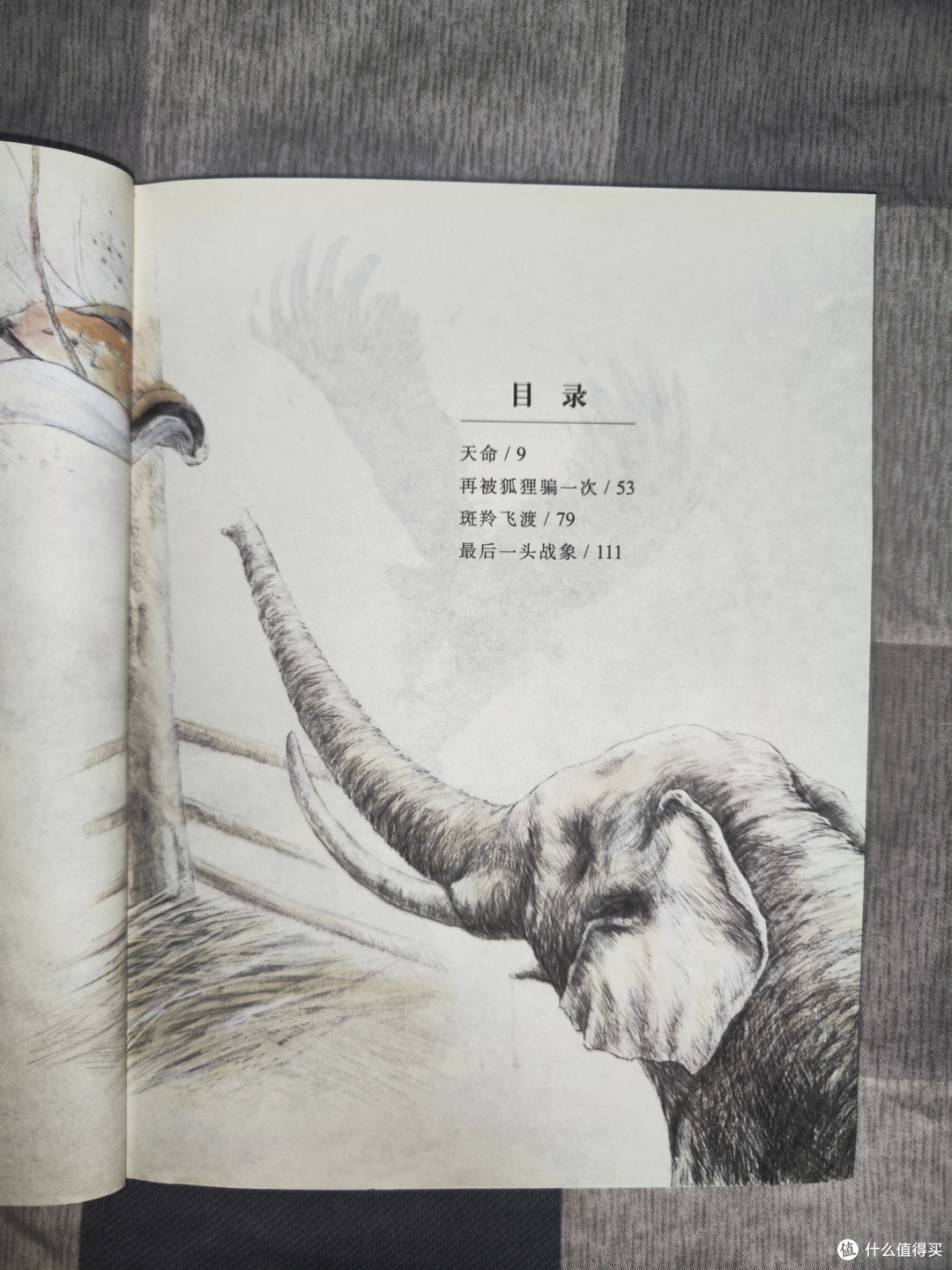 沈石溪《最后一头西战象》