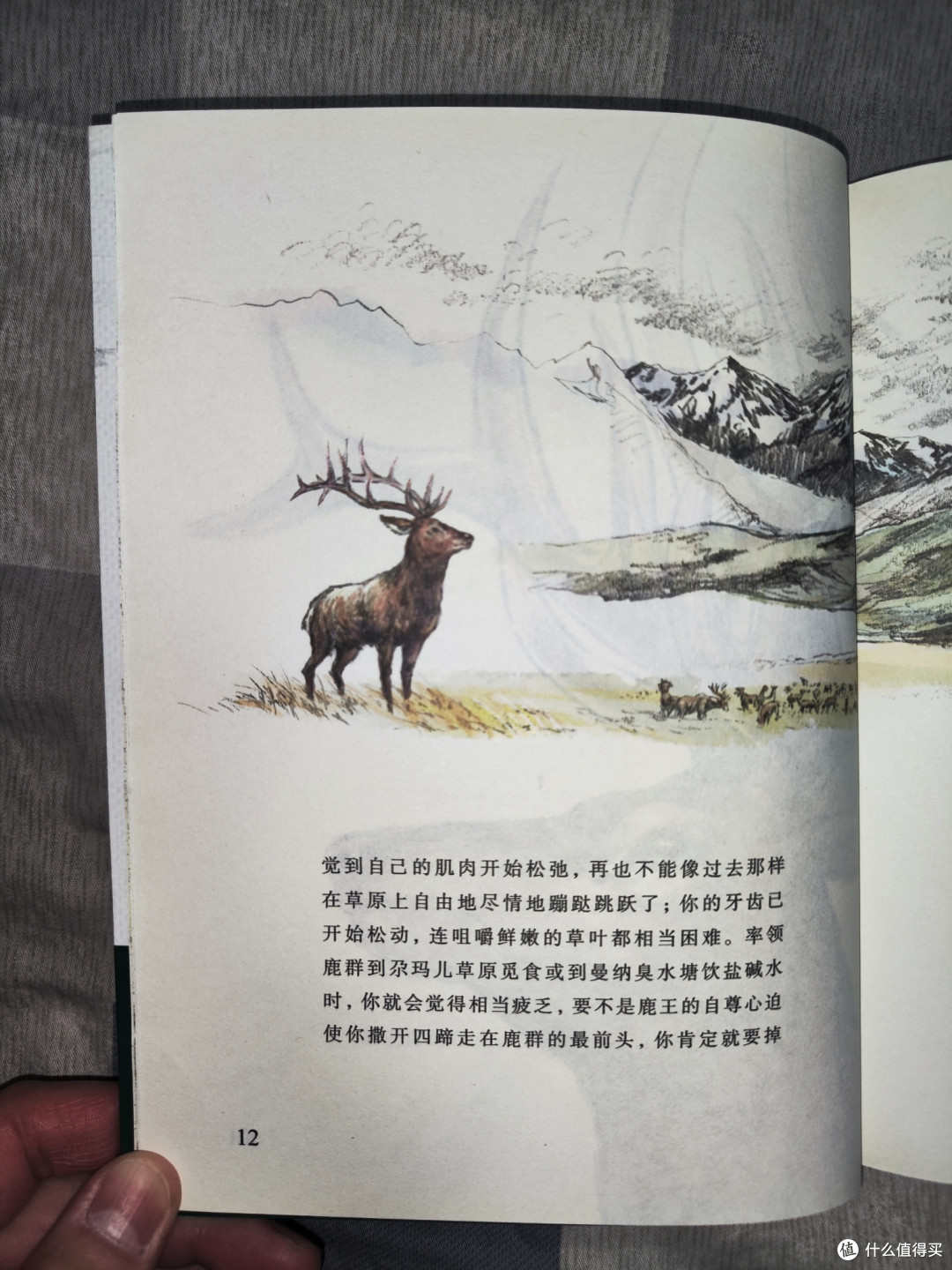沈石溪《老鹿王哈克》