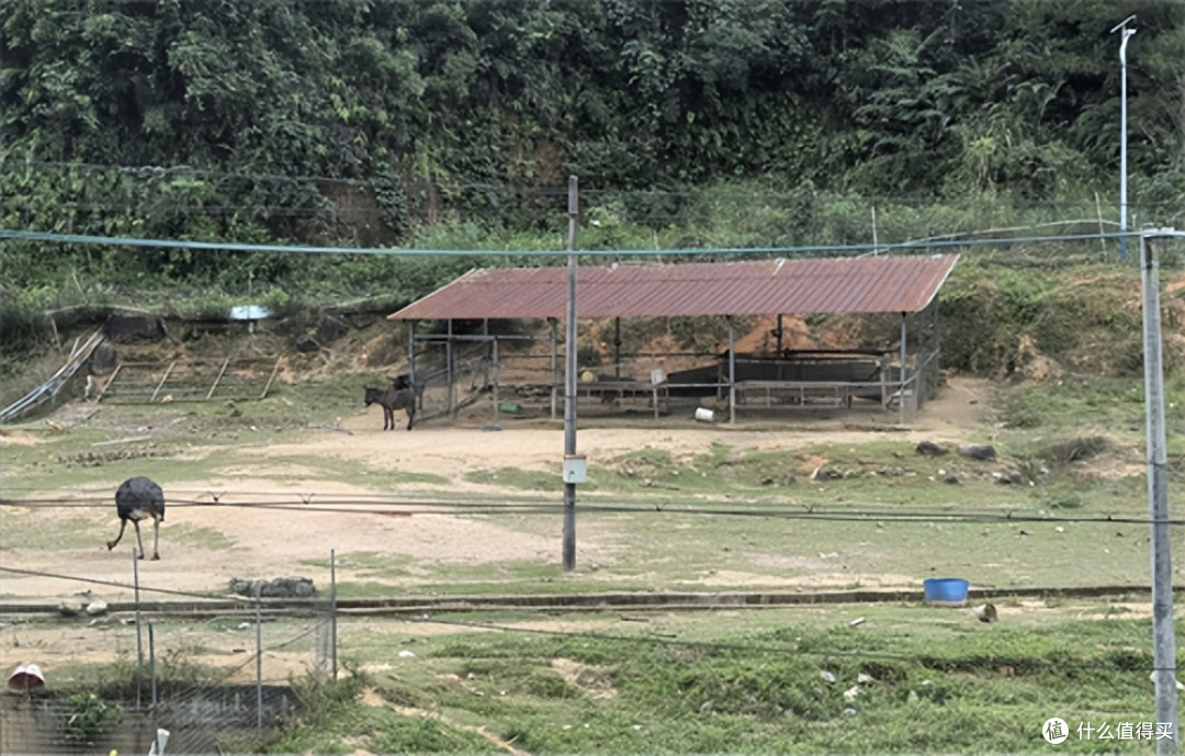 广东:惠州龙川商会(惠城区)班子回访(网红)龙川星期九农庄