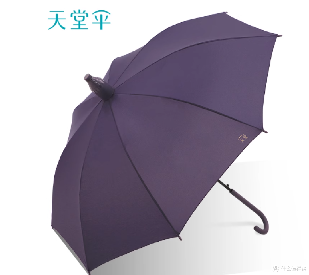 🌂被问爆的万能伞!台风天不翻折,双人撑还干爽|天堂伞实测