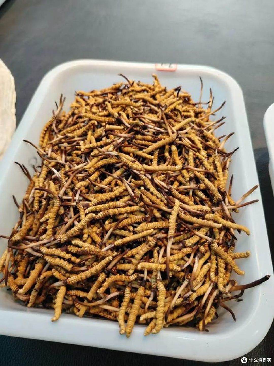 野生虫草和人工虫草的区别在哪里?哪种更值钱？