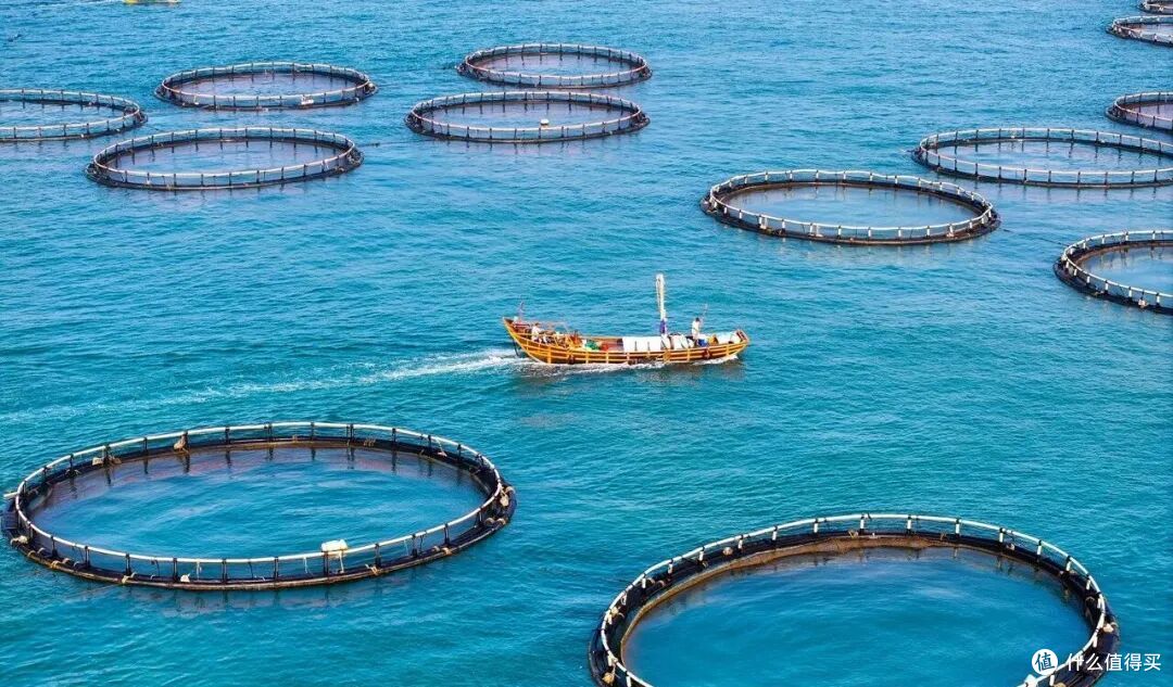 冷门的山海小城拥有顶流海岛?海鲜肥美,现在去最合适!