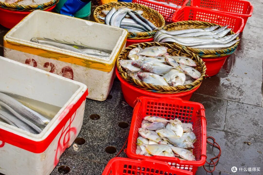 冷门的山海小城拥有顶流海岛?海鲜肥美,现在去最合适!