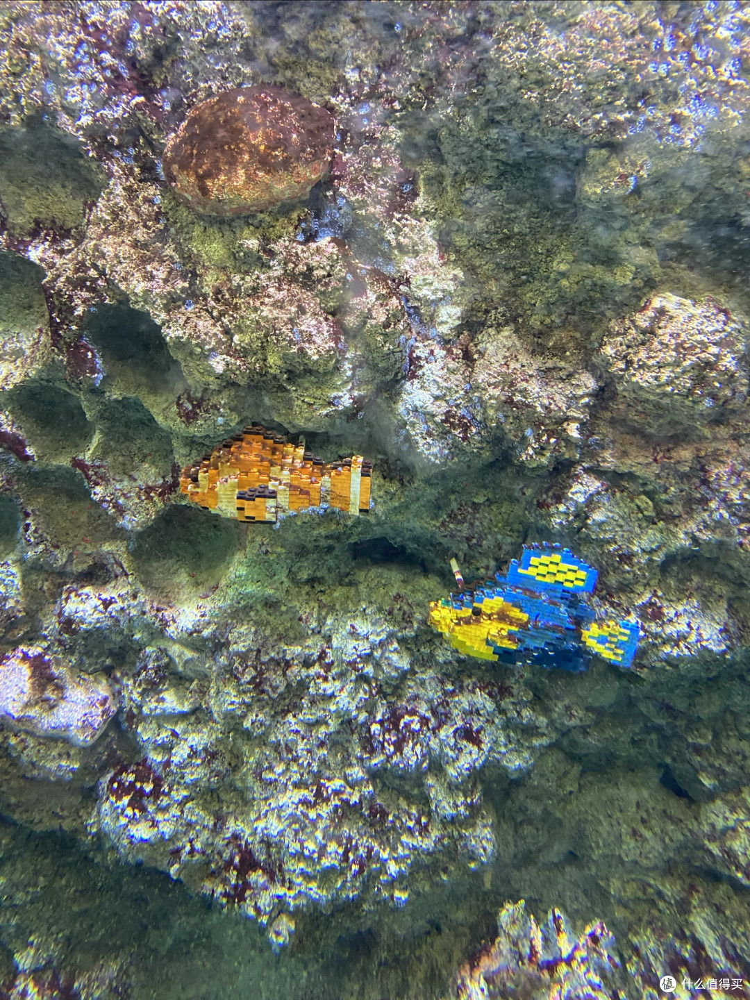 名古屋乐高乐园LEGOLAND JAPAN