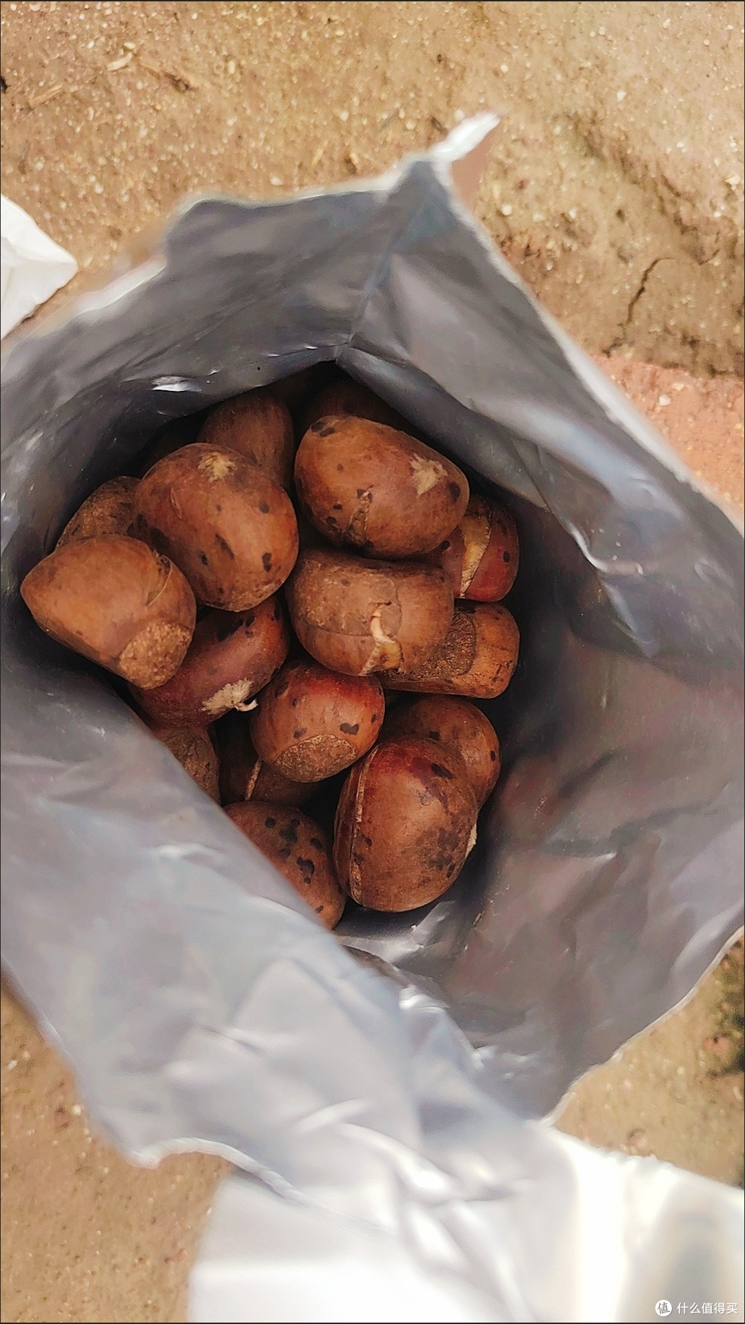 秋日暖食推荐：糖炒栗子