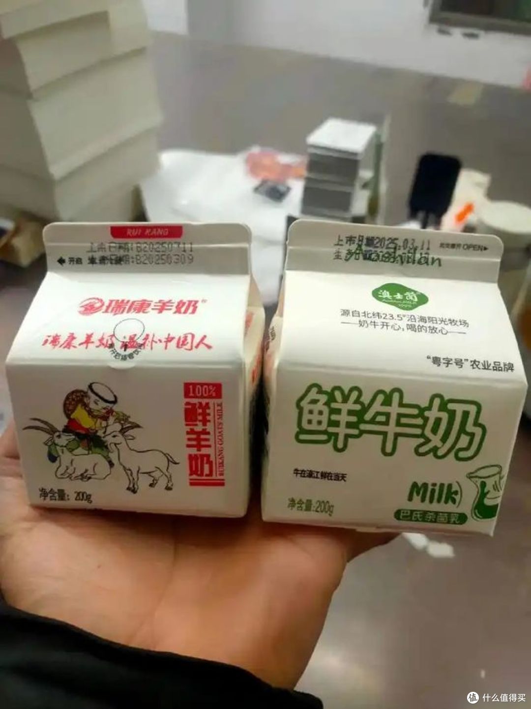 为什么牛羊奶不及骆驼奶?你喜欢喝哪种?