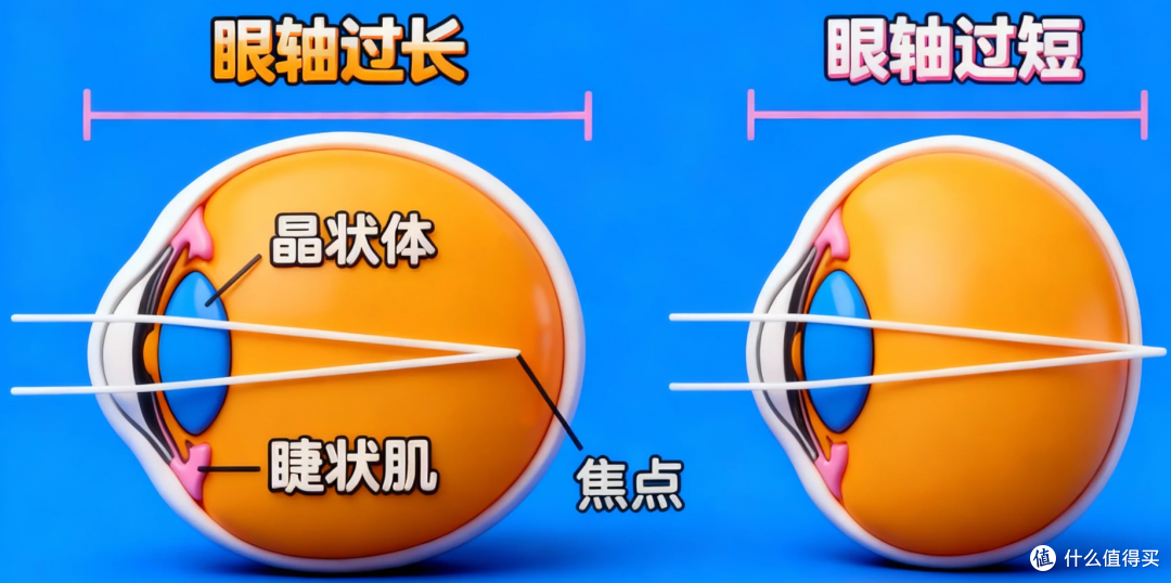 近视?老花? 近视+老花?