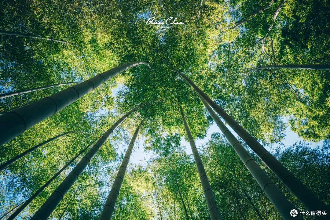 悦榕庄的日本首秀,选在了京都东山