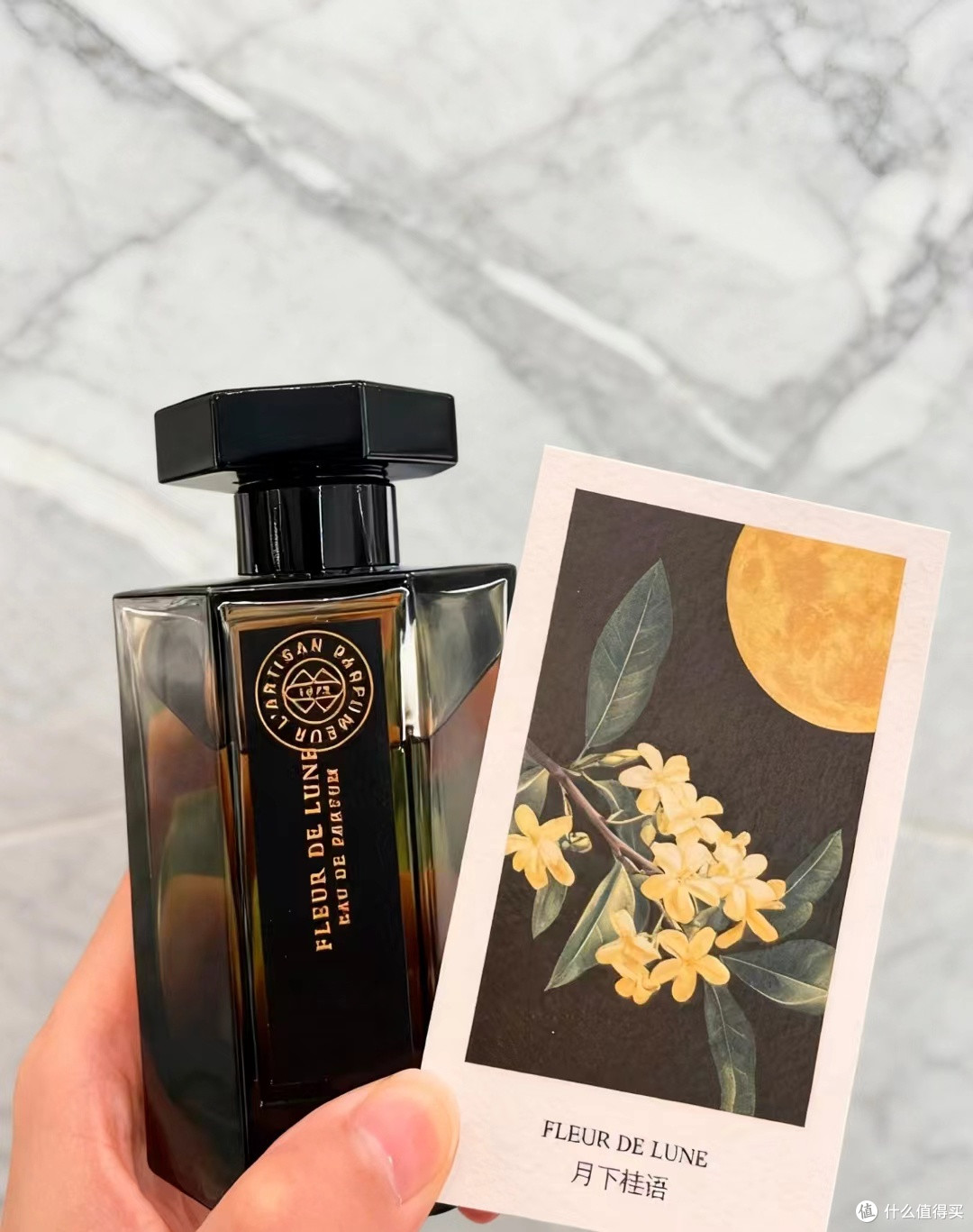 🌙✨ 把月光装进瓶子里——阿蒂仙「月下桂语」✨🌙