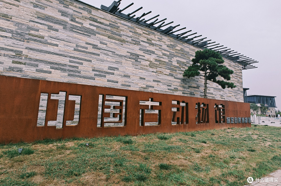 为了驴肉火烧而去的城市,意外解锁亚洲最大自然博物馆!