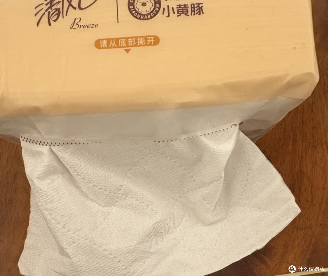 清风卡皮巴拉挂抽：实用与颜值兼具
