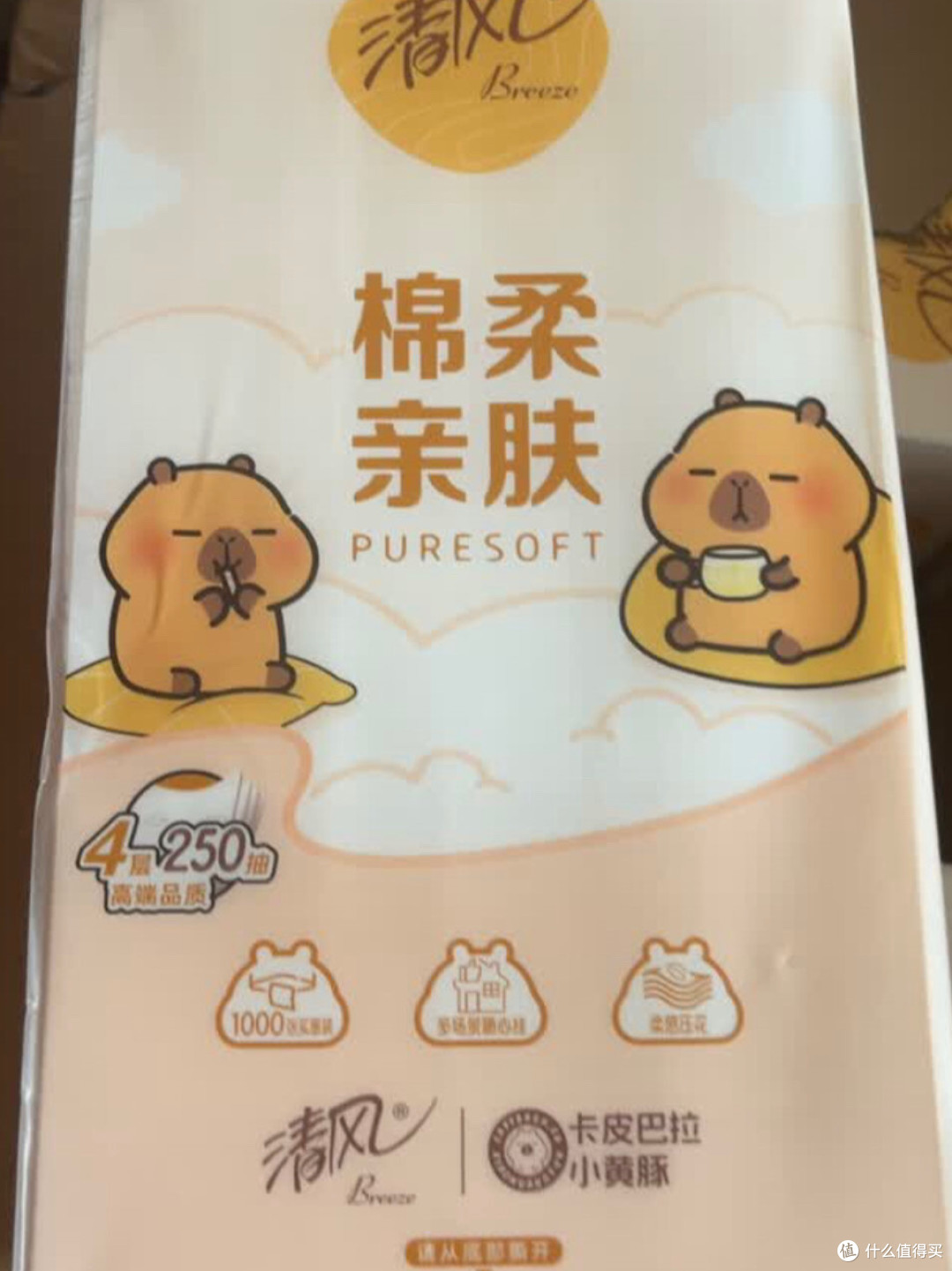 清风卡皮巴拉挂抽：实用与颜值兼具