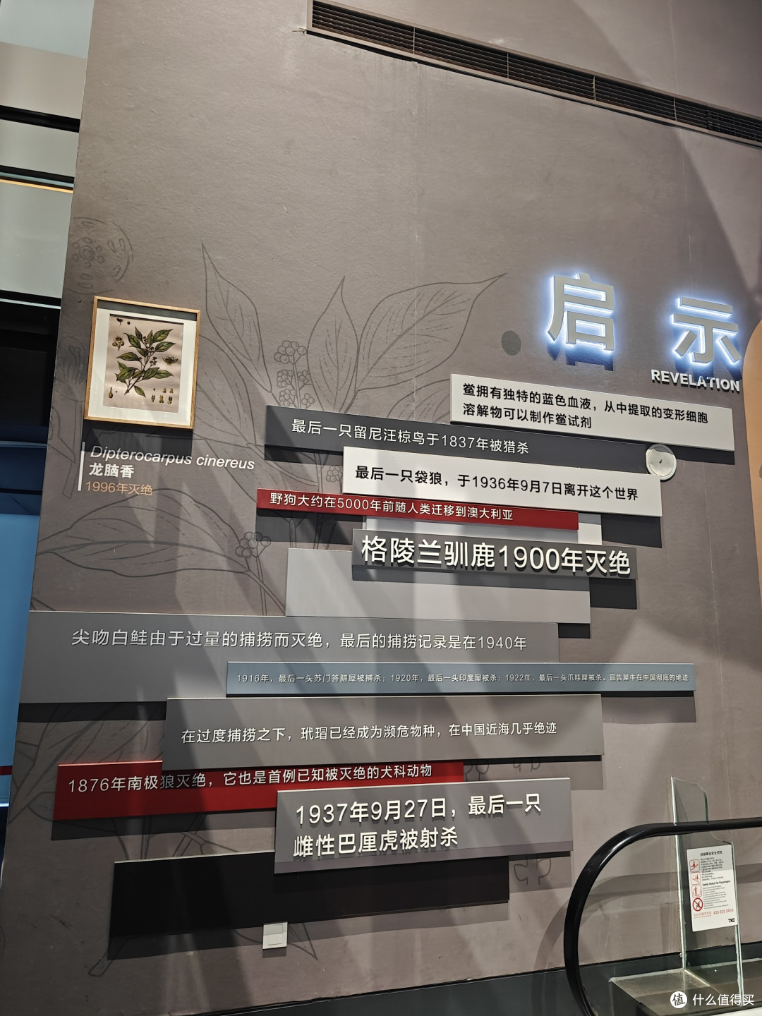为了驴肉火烧而去的城市,意外解锁亚洲最大自然博物馆!