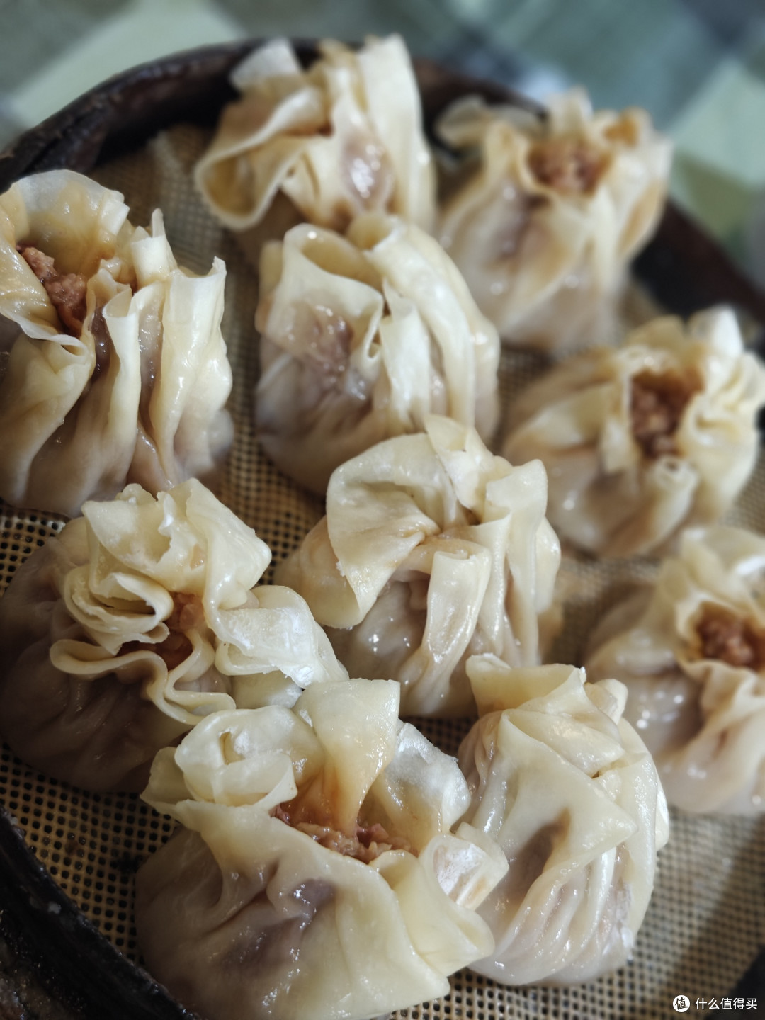 为了驴肉火烧而去的城市,意外解锁亚洲最大自然博物馆!