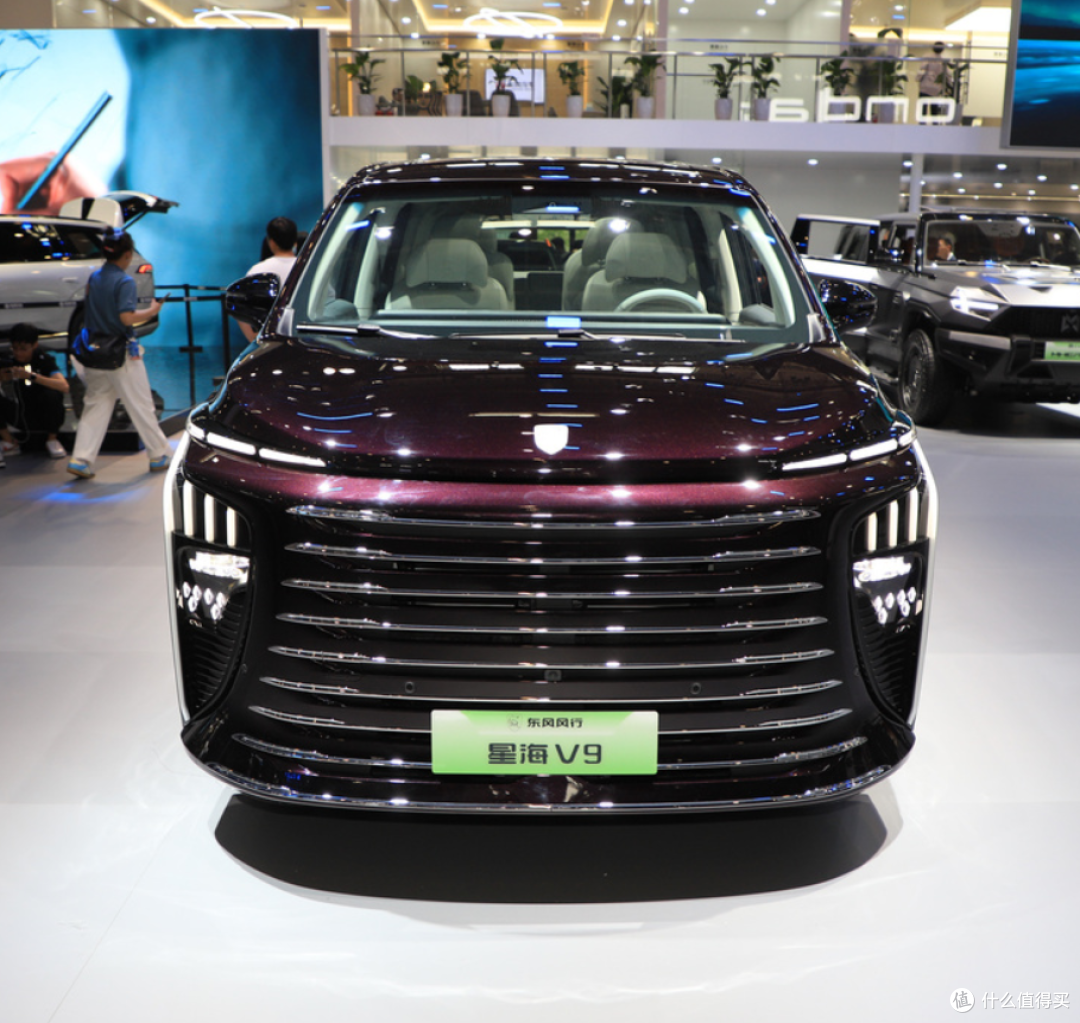 东风风行星海V9汽车