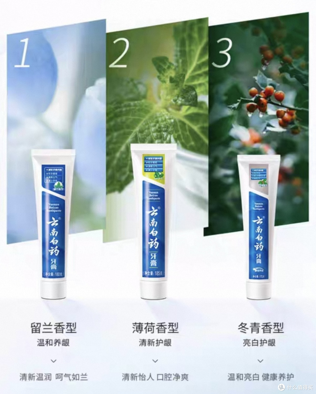 来源于网络