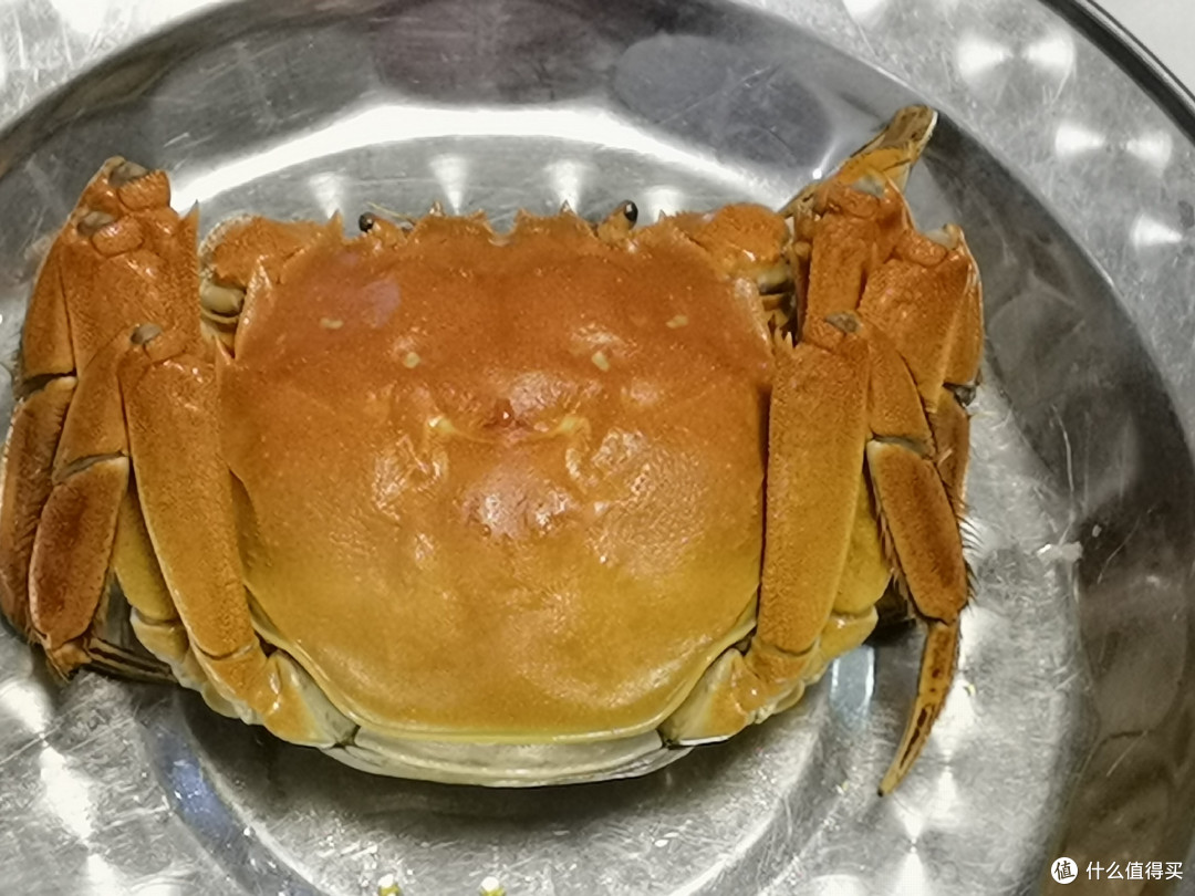 一口阳澄湖蟹,家庭幸福值拉满!
