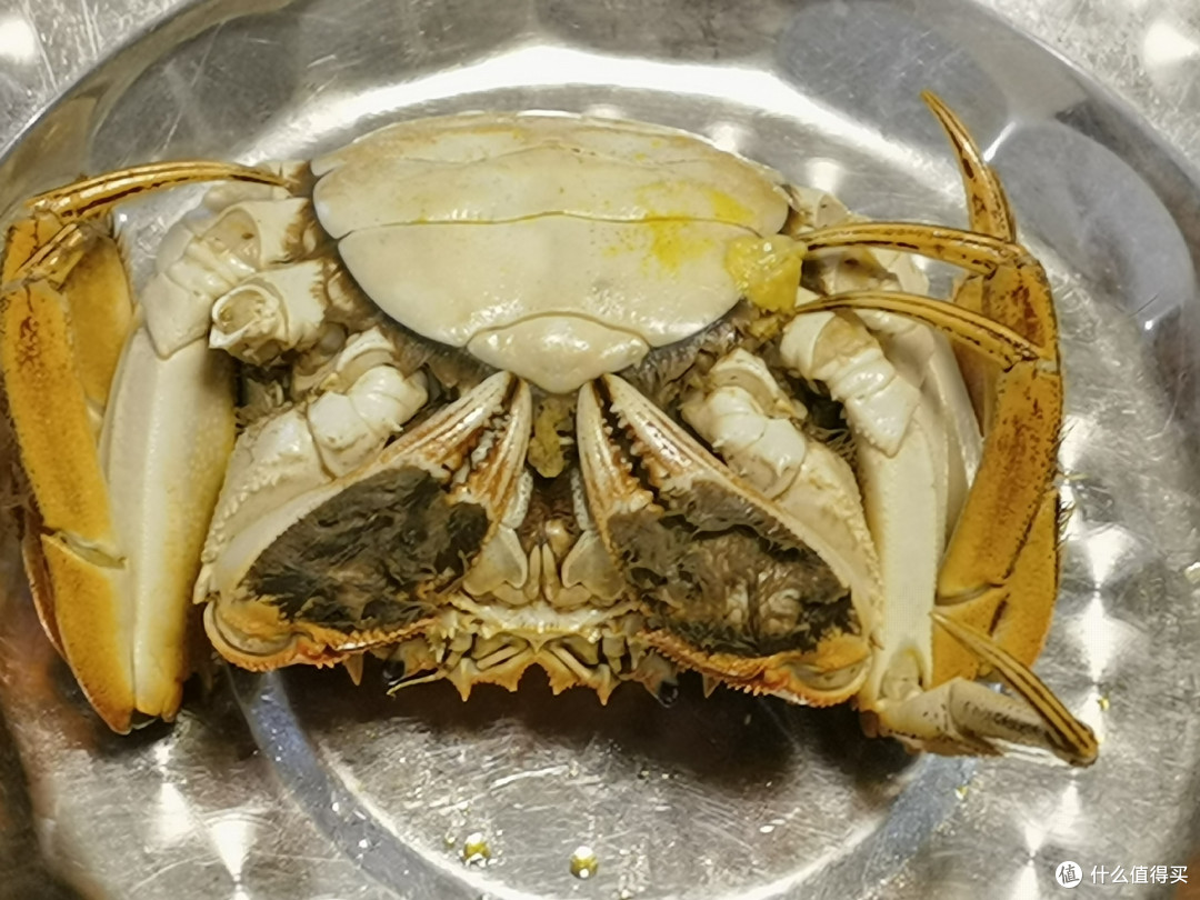 一口阳澄湖蟹,家庭幸福值拉满!
