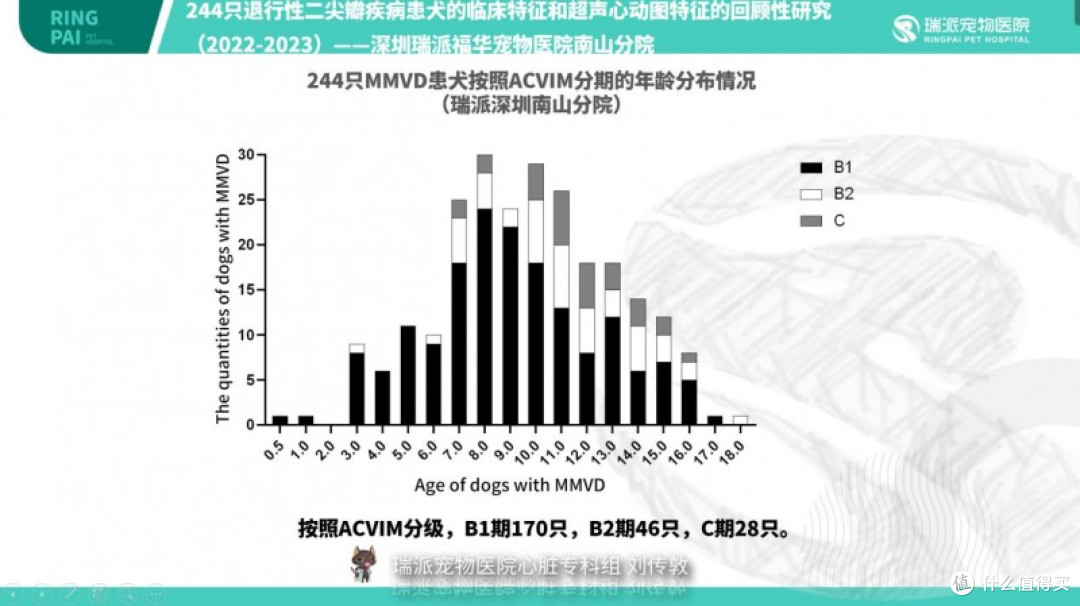 瑞派宠物医生：以心为专，守护萌宠心跳，行医薪火相传