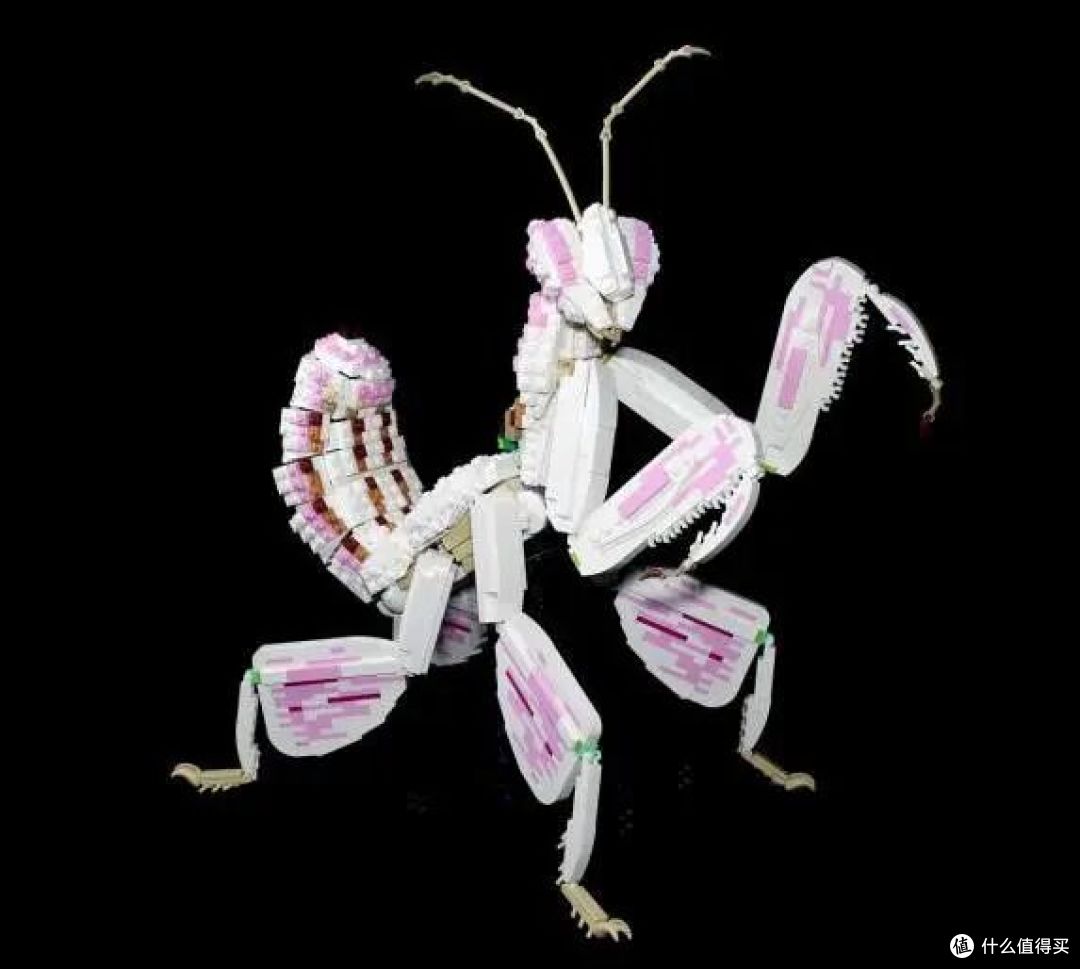 MOC玩家不认季节交替,虫鸣谢幕,乐高积木登场