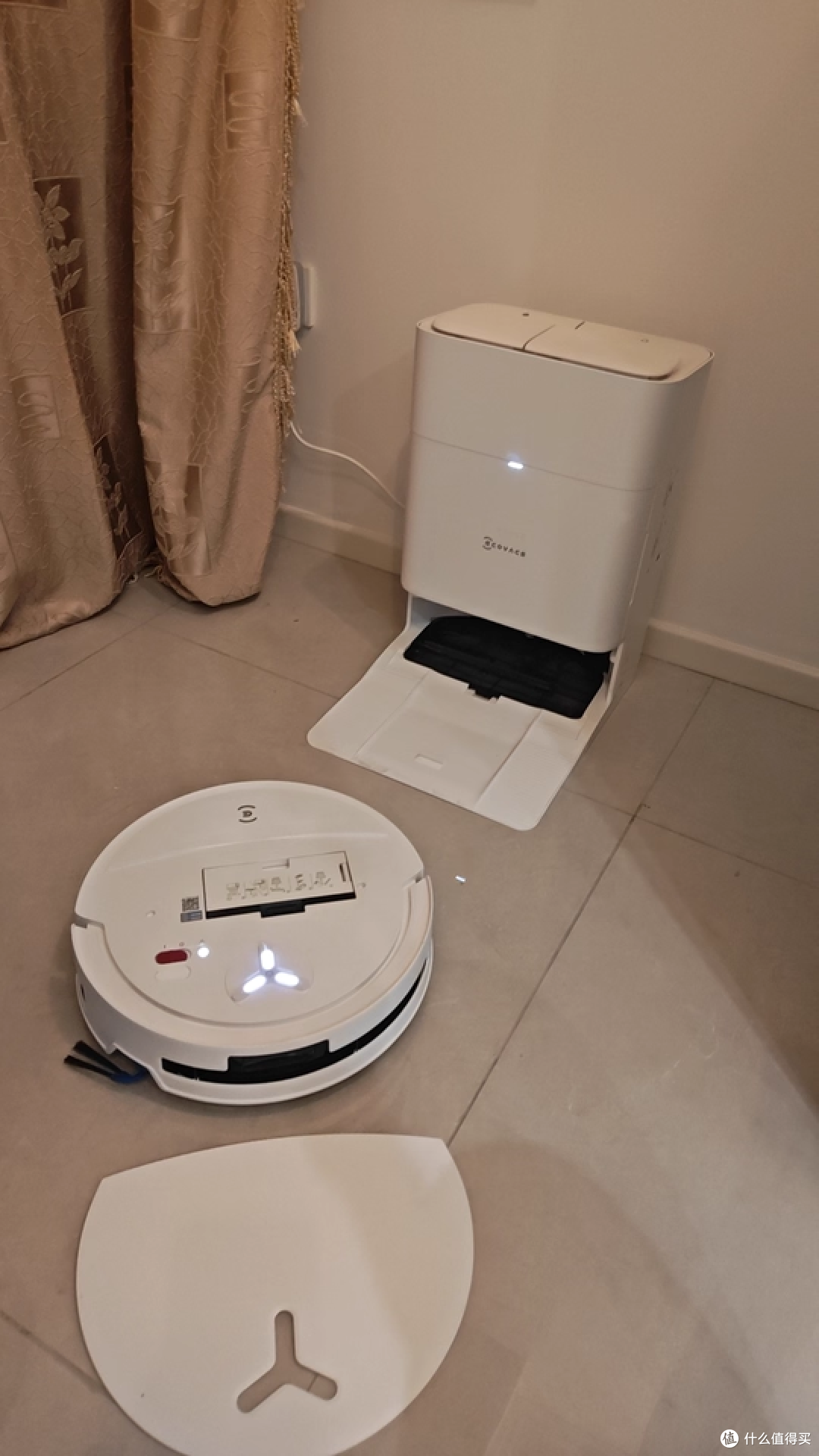 养宠家庭实测:猫砂能吸干净吗?