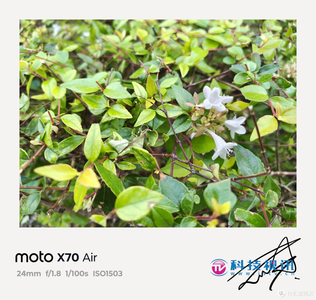 纤薄之躯，智驭未来 联想moto X70 Air AI手机测评