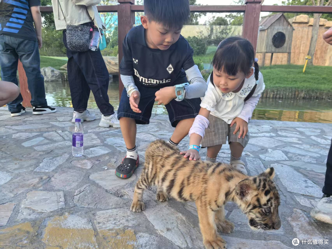 周末去见见南通森迪的动物伙伴们吧