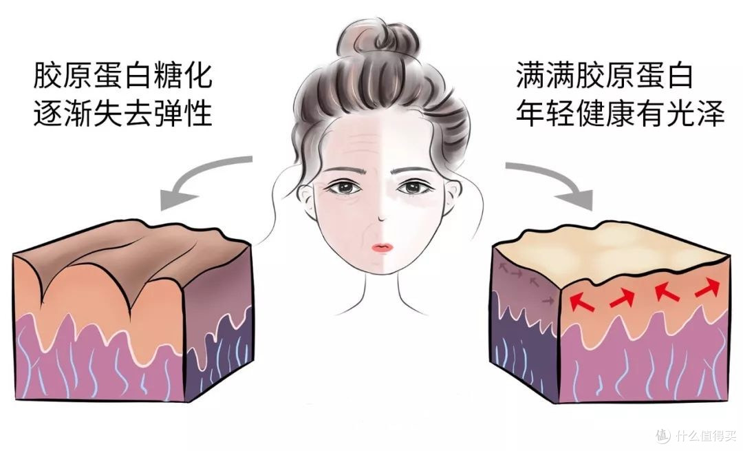 2025年抗老面霜推荐:抗皱紧致护肤品哪款好热门抗老面霜测评分享