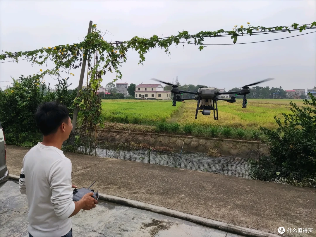 十一闲游湖南岳阳