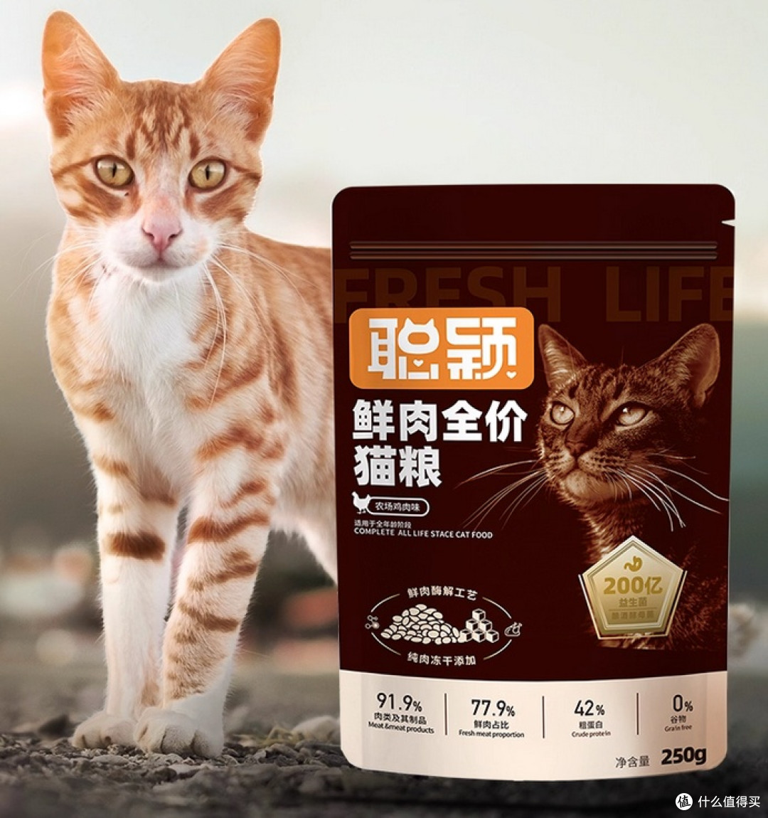 建议买哪款猫粮好性价比高?2025年度必买猫粮排行榜