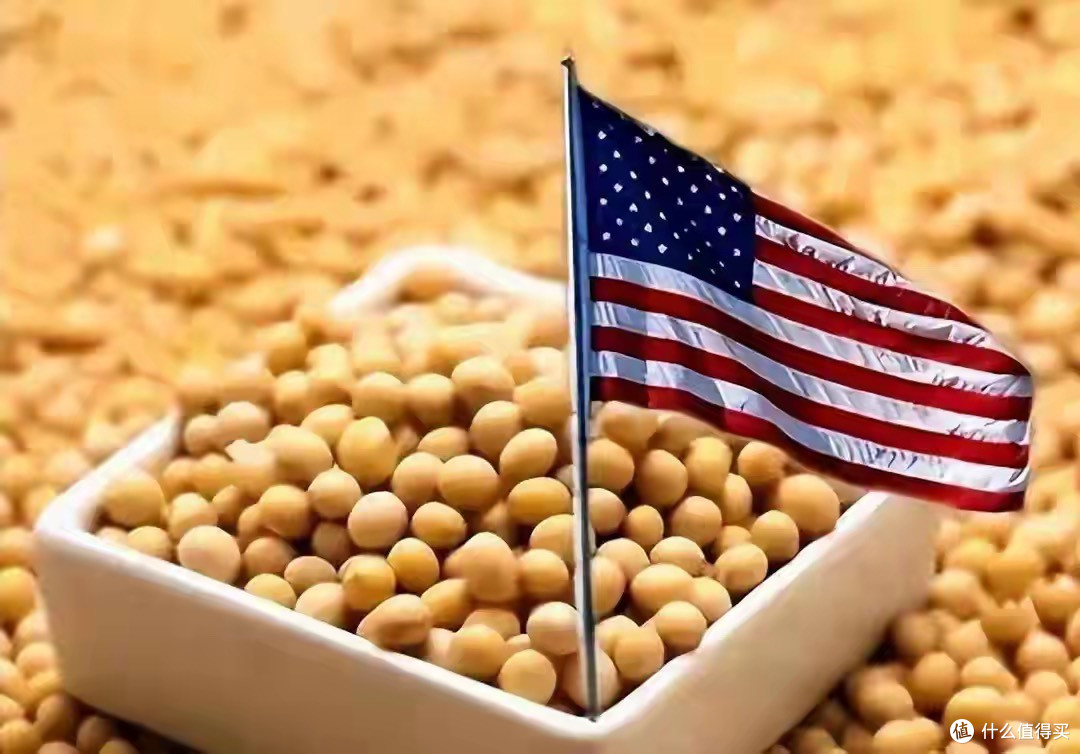 巴西豆农傻眼！中国18万吨订单背后：美国降价40%，巴西涨价12%_蔬菜_什么值得买