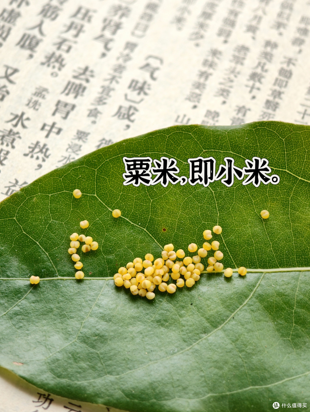 听说,小米粥并不养胃?