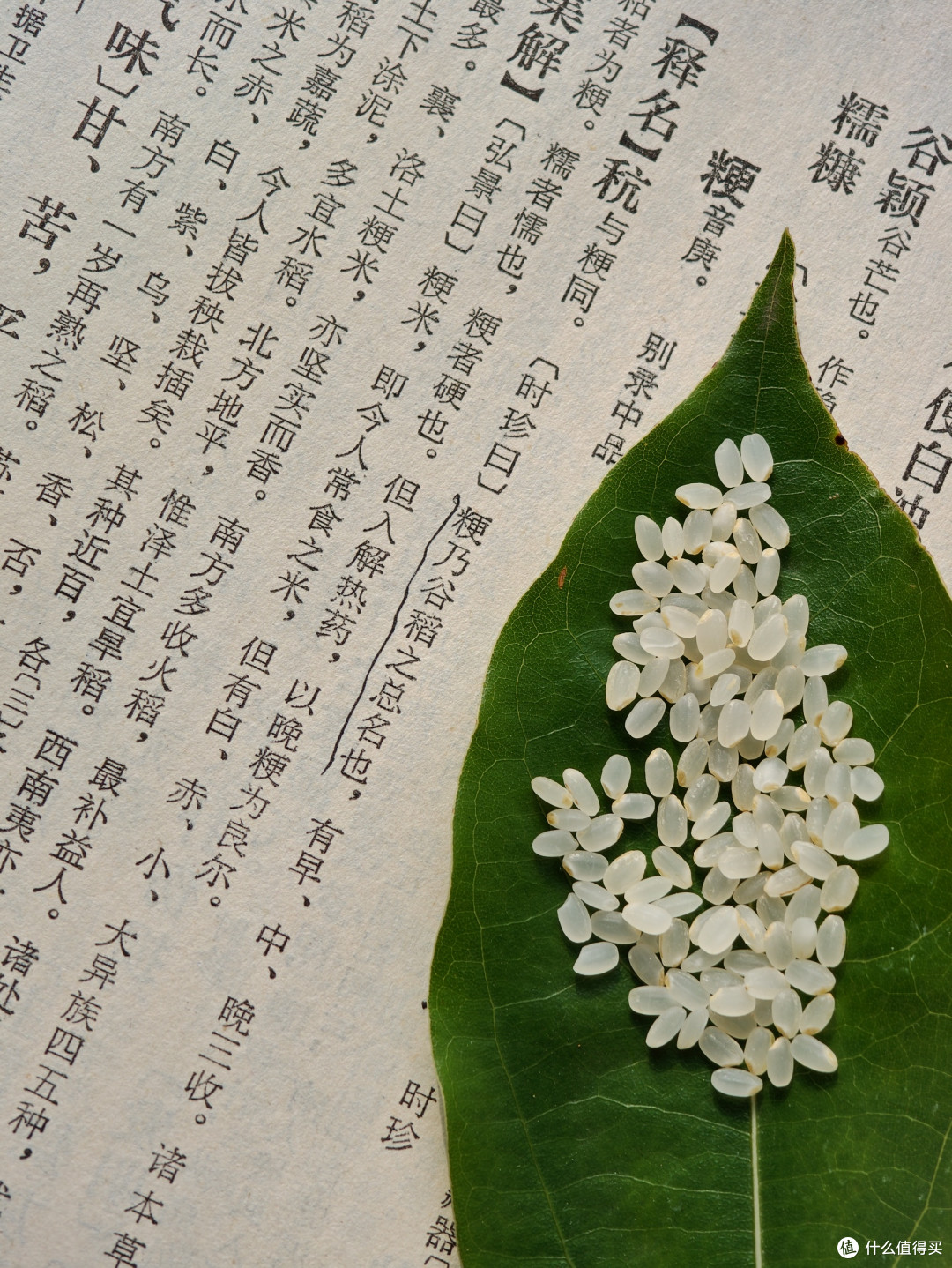 听说,小米粥并不养胃?