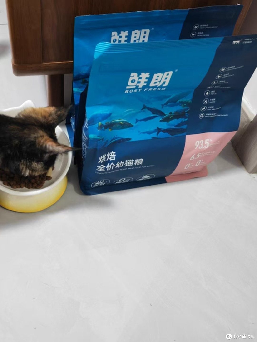 金渐层猫吃什么猫粮好?双十一必入的3款最好猫粮