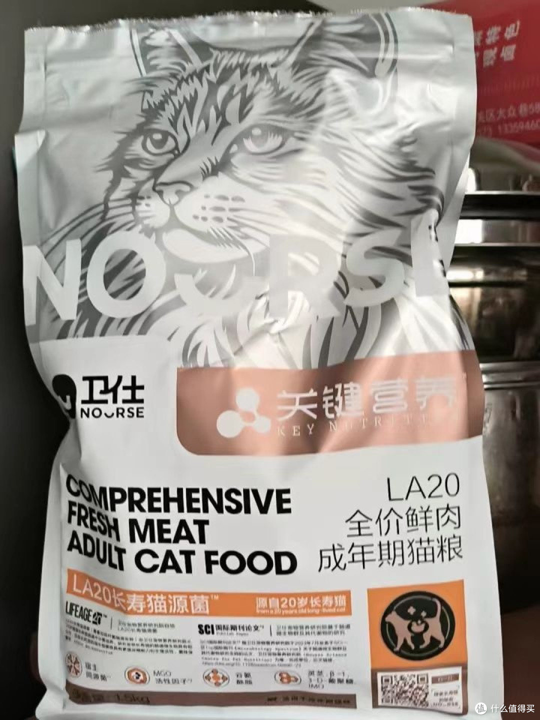 金渐层猫吃什么猫粮好?双十一必入的3款最好猫粮
