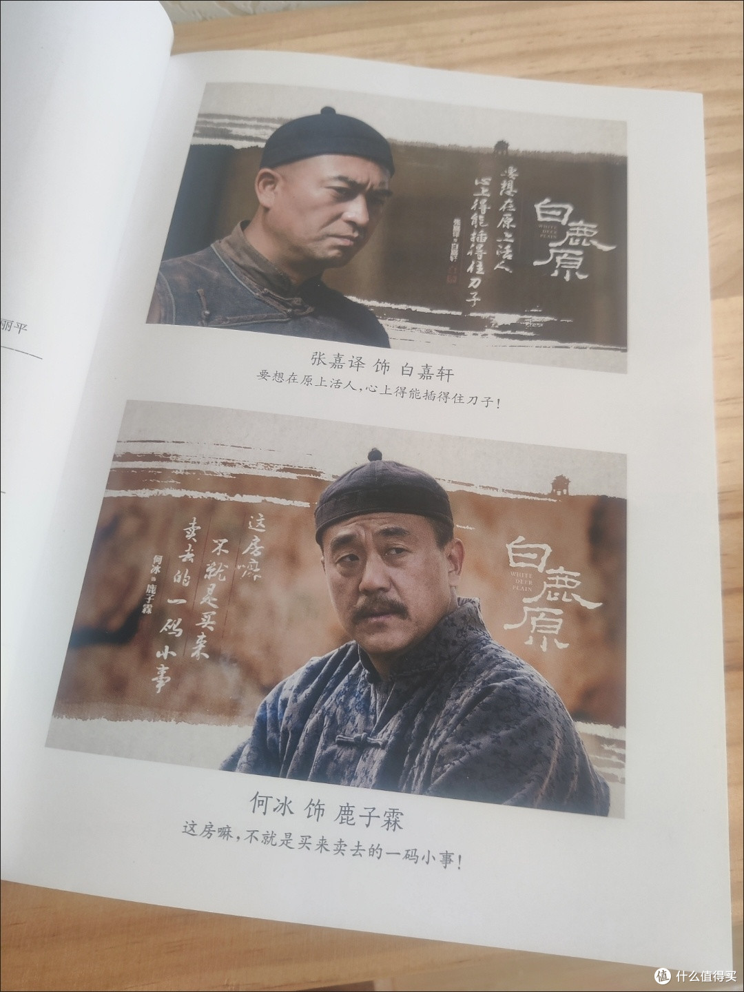 白鹿原上的家族与历史变迁